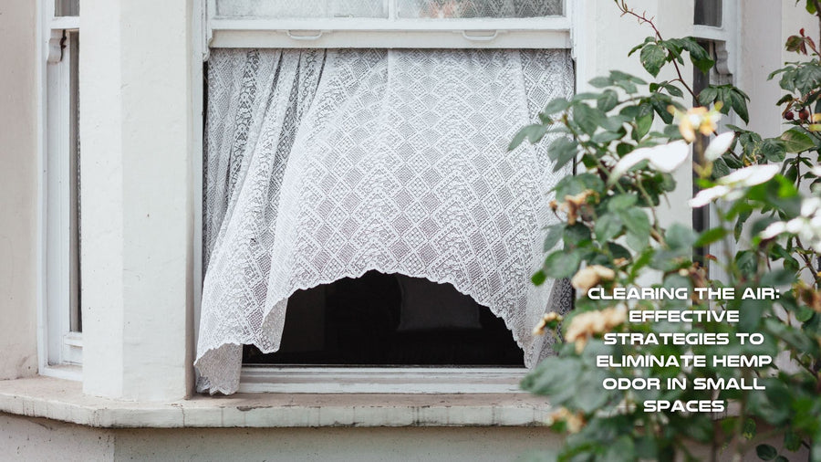 Clearing the Air: Effective Strategies to Eliminate Hemp Odor in Small Spaces