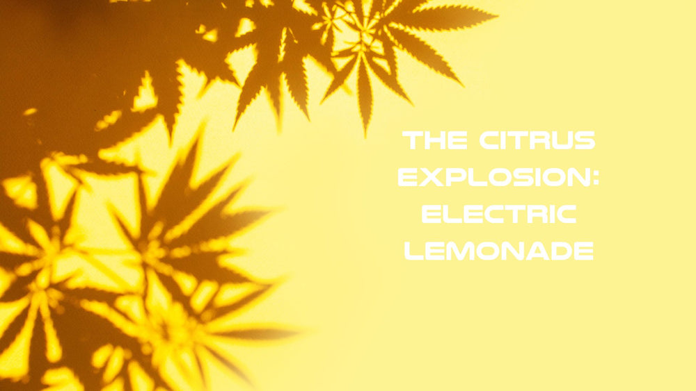 Lemonade Explosion The Citrus Explosion: Electric Lemonade – Ocho Extracts