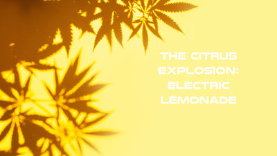 The Citrus Explosion: Electric Lemonade