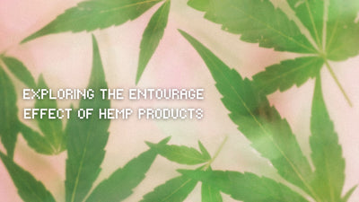 Exploring the Entourage Effect of Hemp Products