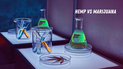 Is there THC in Hemp?