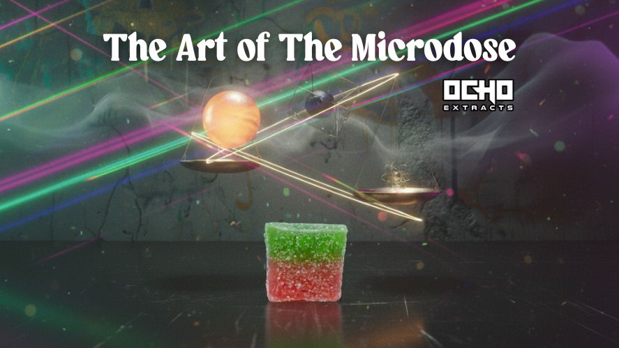 Microdosing for Beginners: Start Small, Think Big