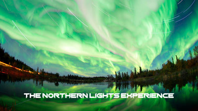 The Northern Lights Experience