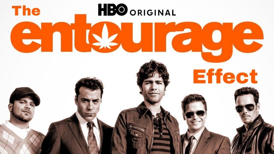 The Entourage Effect: Cannabis Compounds Roll Like Vince Chase's Crew